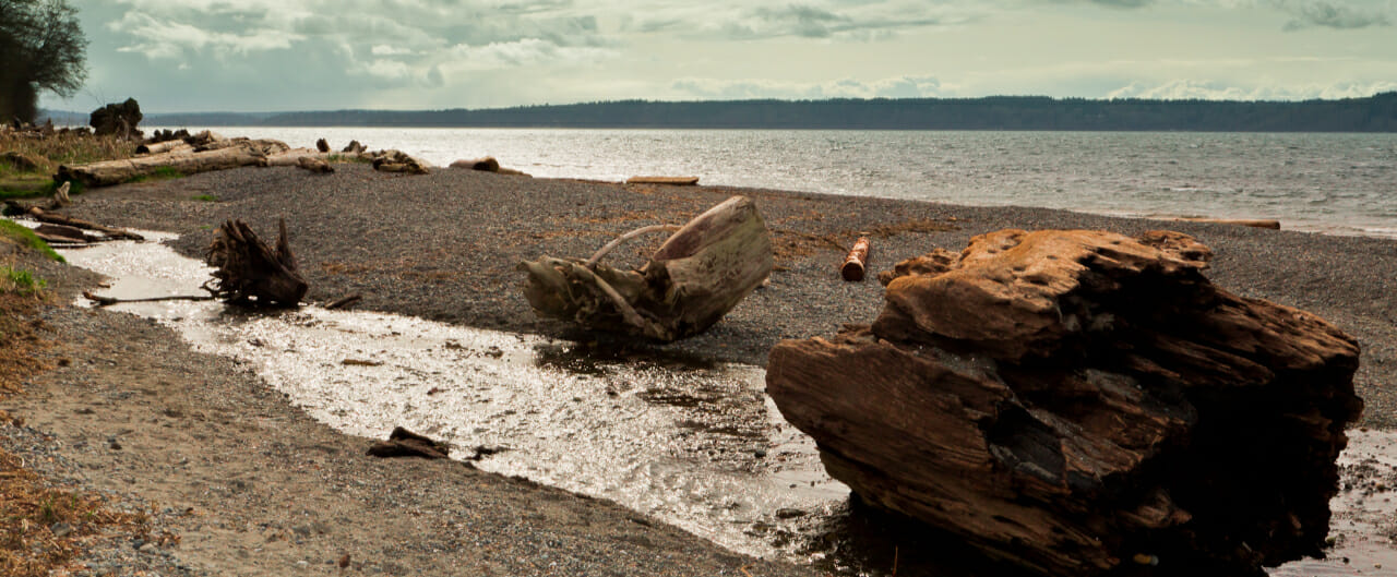 Burien, WA Real Estate & Homes for Sale