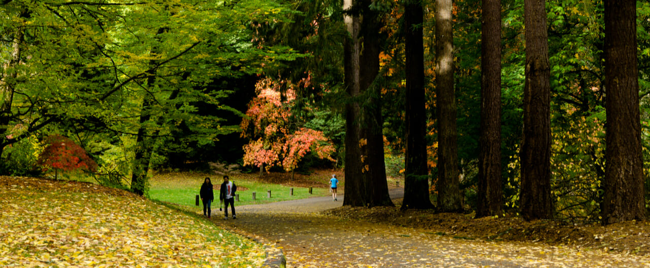 Washington Park, Seattle, WA Real Estate & Homes for Sale